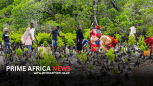WWF-Kenya Urges Science-Based Mangrove Restoration to Protect Coastal Ecosystems