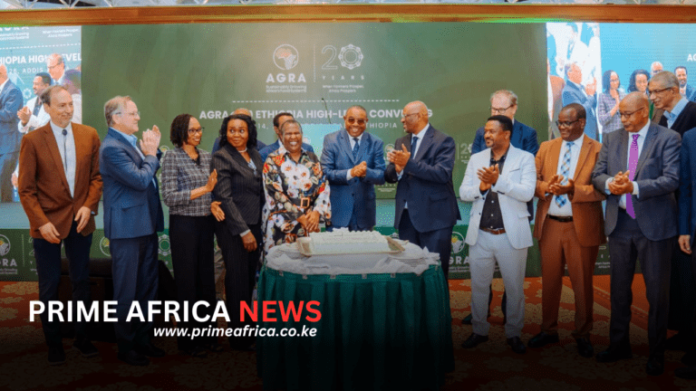 AGRA Marks 20 Years with Renewed Push for Farmer-Centered Agricultural Transformation