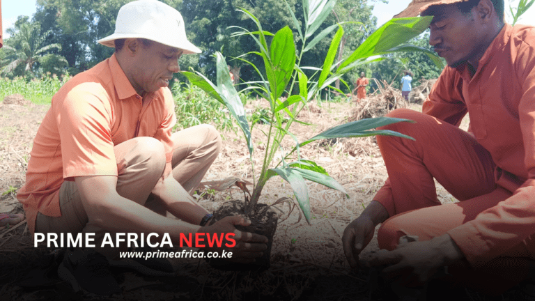 Azande Kingdom Launches 35,000 Palm Oil Tree Initiative to Boost Agriculture and Job Creation