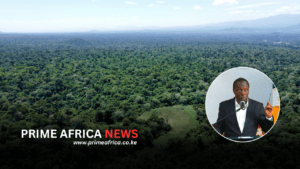 Kenya Forest Service (KFS) to Establish High-Tech Monitoring Base in Imenti Forest to Boost Conservation Efforts