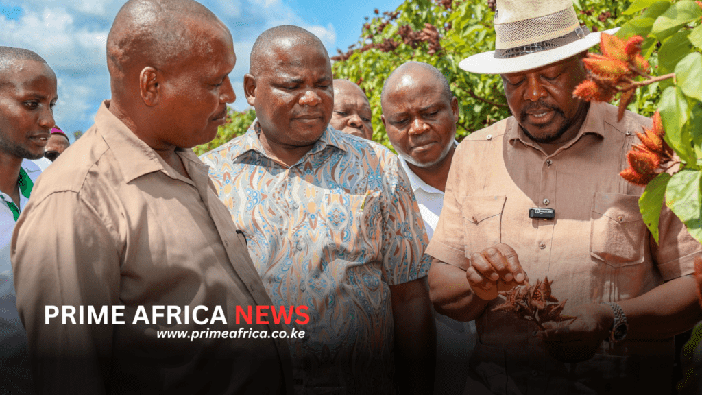 CS Kagwe Targets Bixa Production Surge to Unlock 3,000-Tonne Capacity, Create Thousands of New Farm Jobs in the Coast